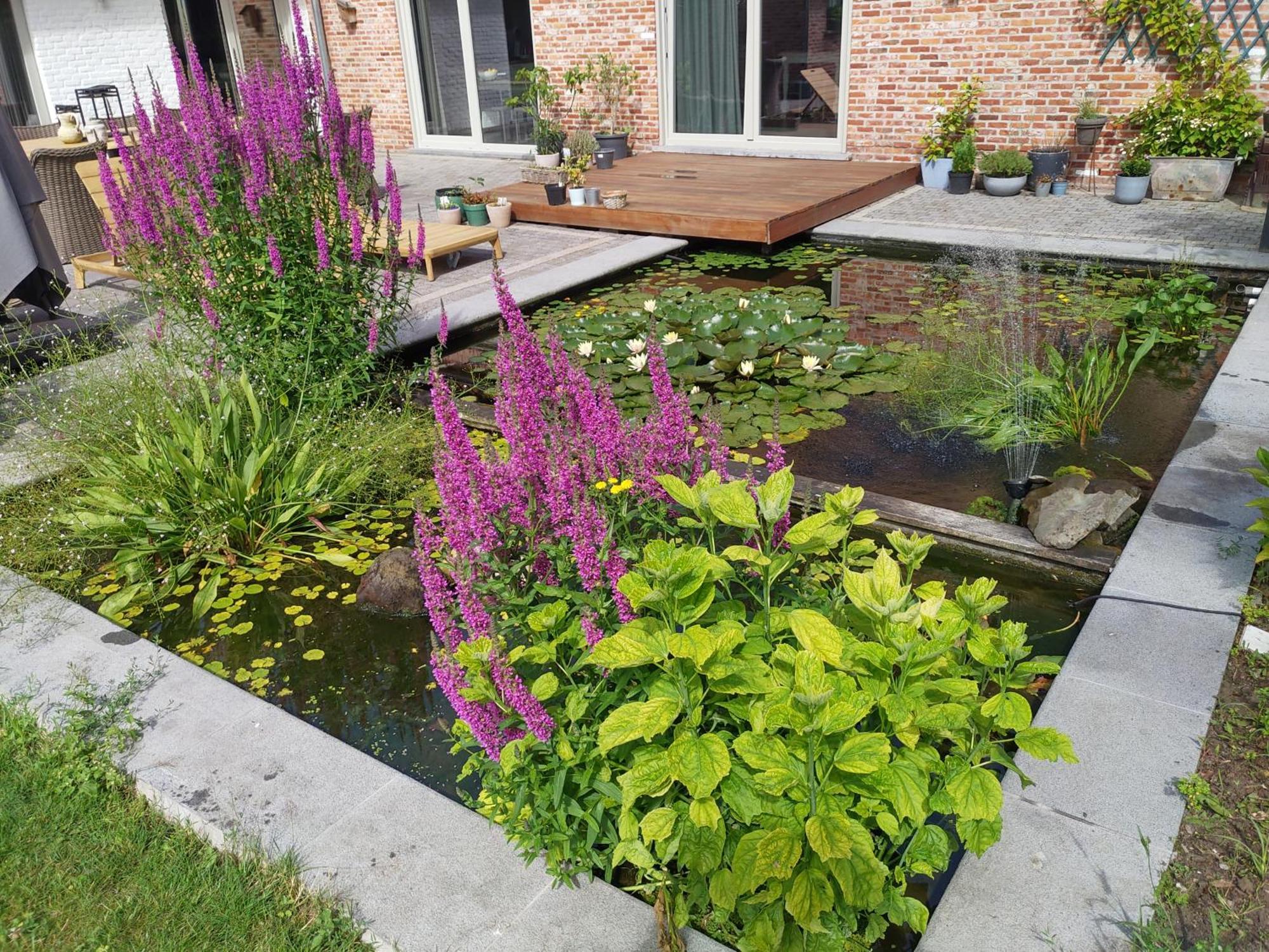 Vila The Two Oaks - Private Garden For Guests Hertsberge Exteriér fotografie
