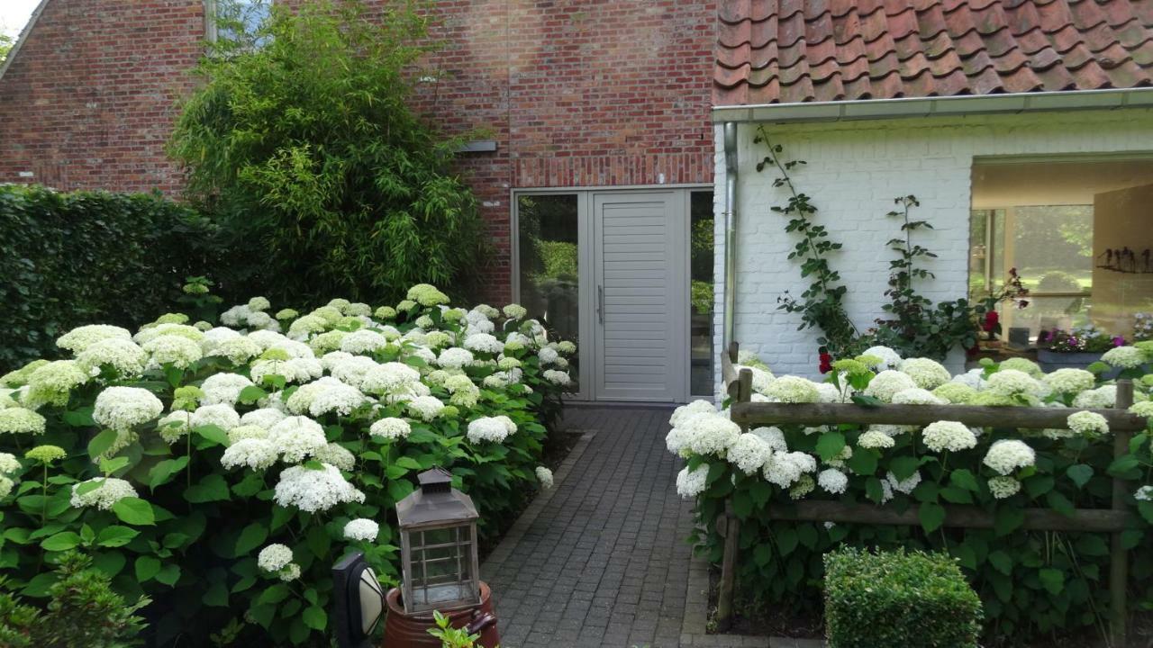 Vila The Two Oaks - Private Garden For Guests Hertsberge Exteriér fotografie