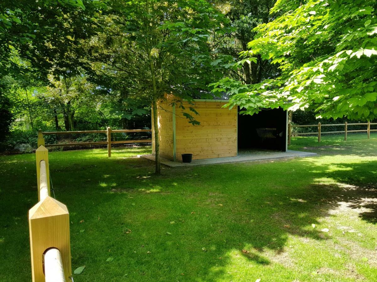 Vila The Two Oaks - Private Garden For Guests Hertsberge Exteriér fotografie