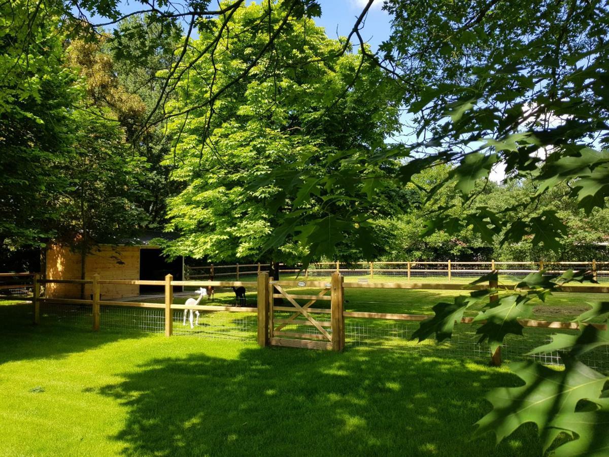 Vila The Two Oaks - Private Garden For Guests Hertsberge Exteriér fotografie