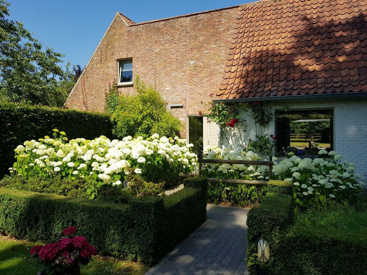 Vila The Two Oaks - Private Garden For Guests Hertsberge Exteriér fotografie